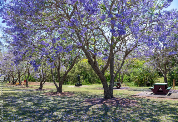 Espaço Verde 1