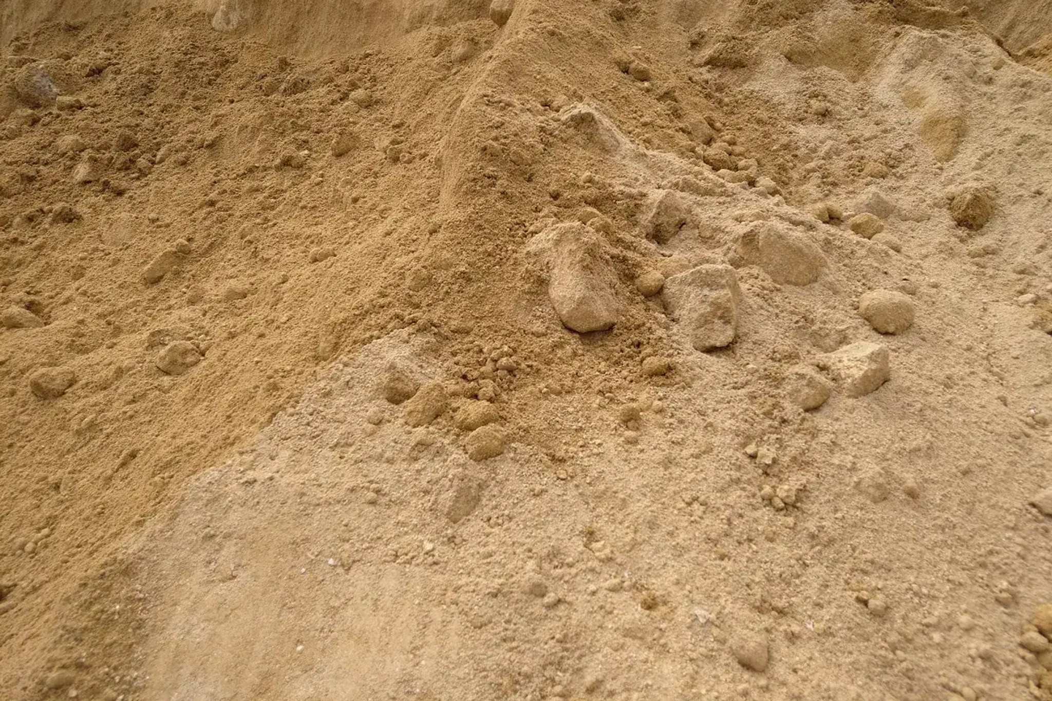 Areia